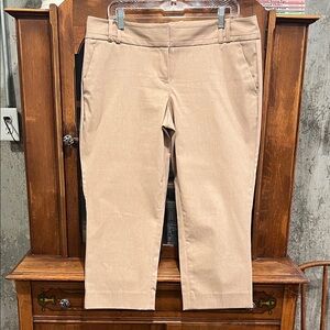 The Limited Exact Stretch Ankle Pants